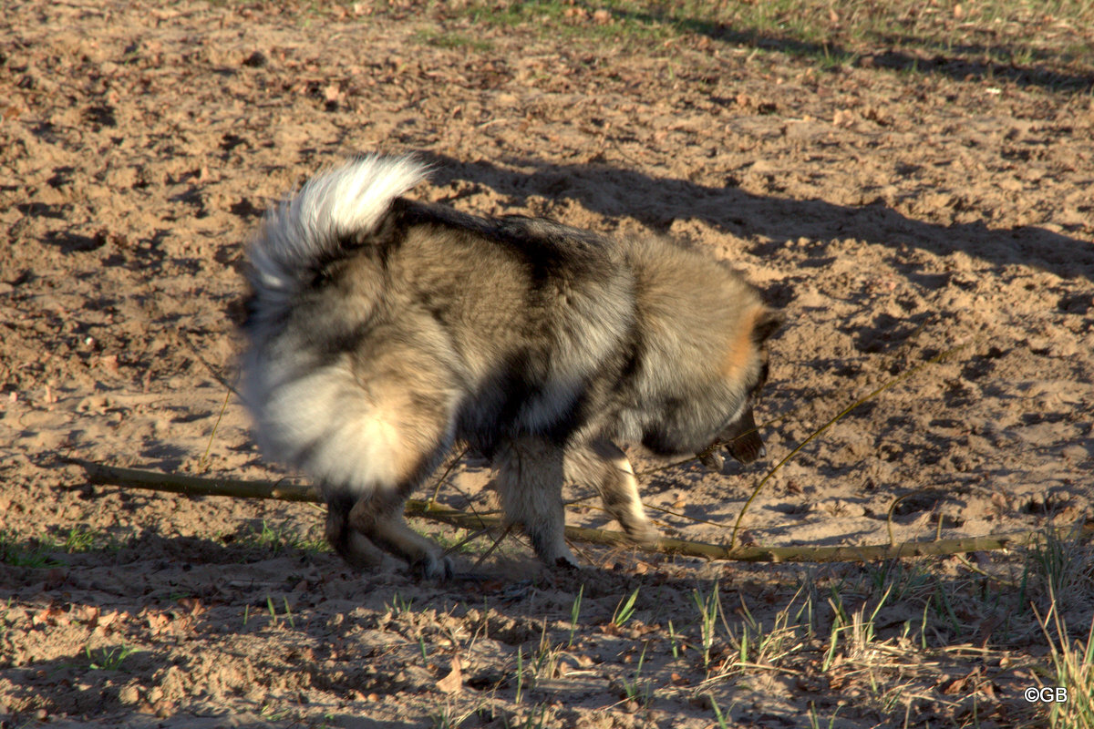 Antonia von den Holsteiner Seen