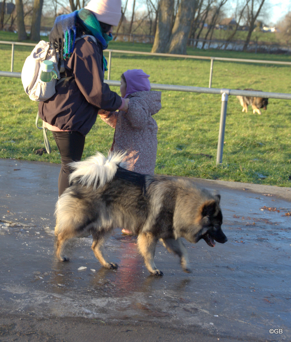 Antonia von den Holsteiner Seen